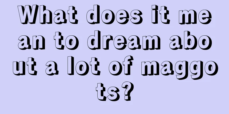 What does it mean to dream about a lot of maggots?