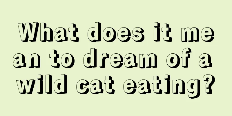 What does it mean to dream of a wild cat eating?