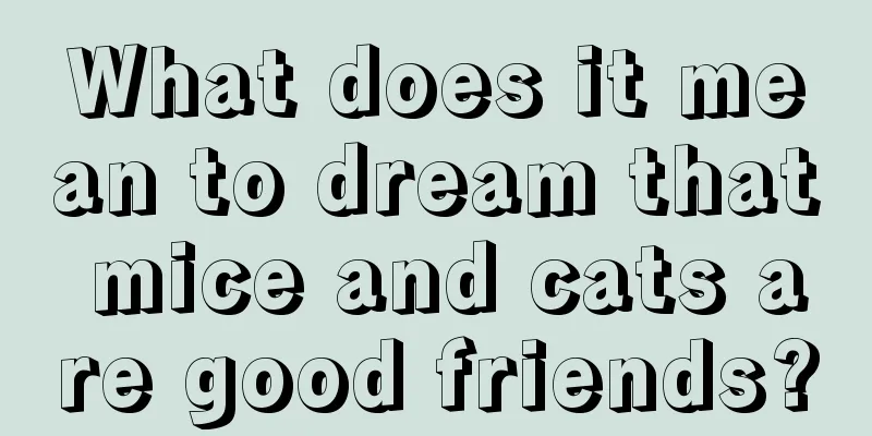 What does it mean to dream that mice and cats are good friends?