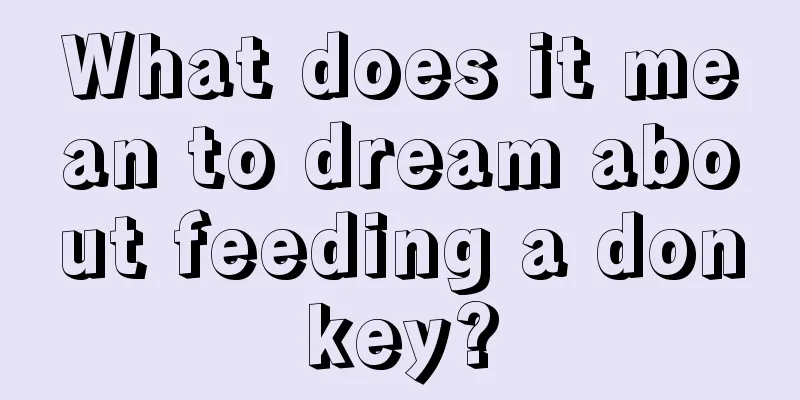 What does it mean to dream about feeding a donkey?