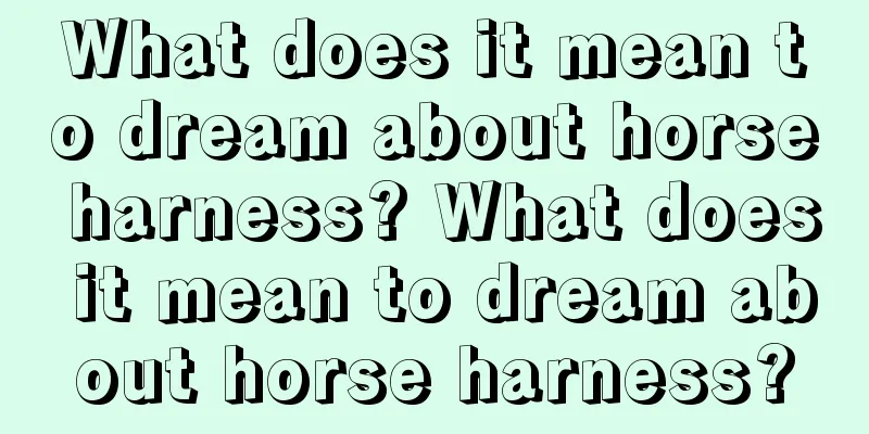 What does it mean to dream about horse harness? What does it mean to dream about horse harness?