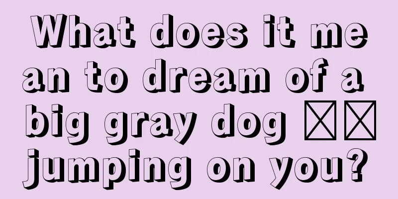 What does it mean to dream of a big gray dog ​​jumping on you?