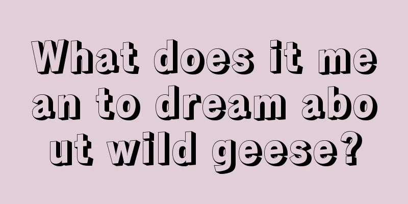 What does it mean to dream about wild geese?