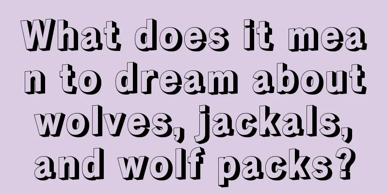 What does it mean to dream about wolves, jackals, and wolf packs?