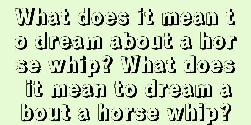 What does it mean to dream about a horse whip? What does it mean to dream about a horse whip?