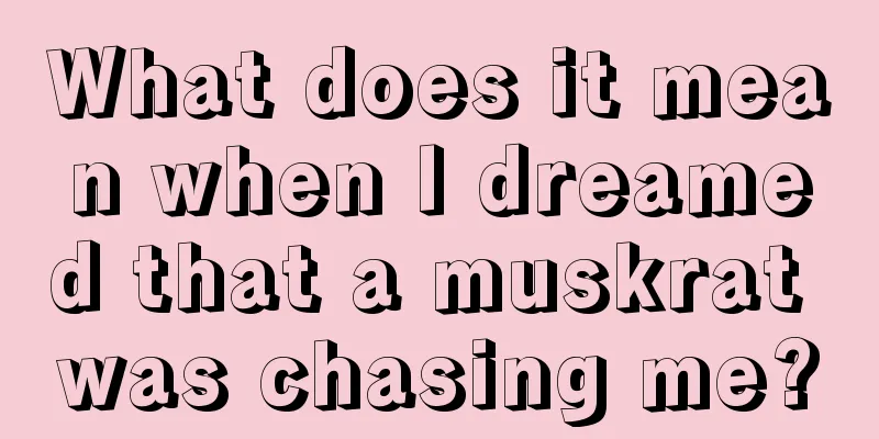 What does it mean when I dreamed that a muskrat was chasing me?