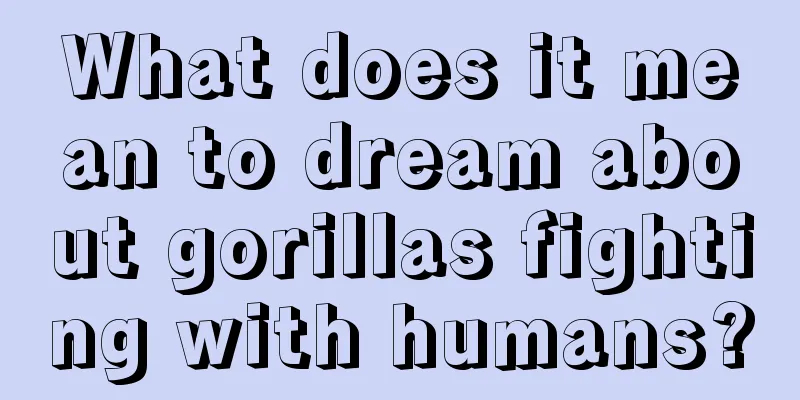 What does it mean to dream about gorillas fighting with humans?