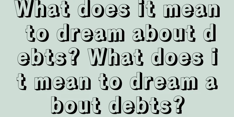 What does it mean to dream about debts? What does it mean to dream about debts?