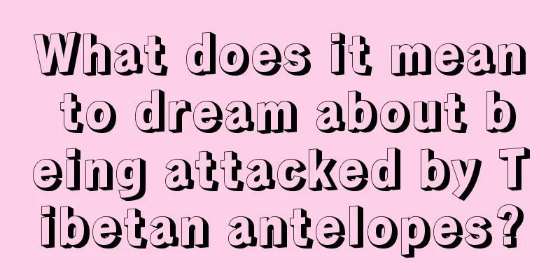 What does it mean to dream about being attacked by Tibetan antelopes?