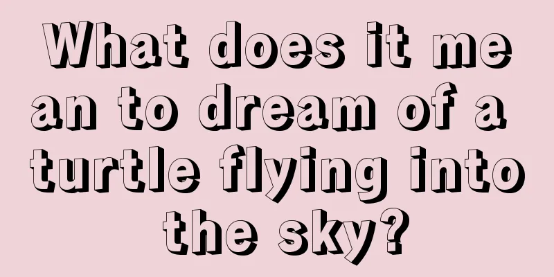 What does it mean to dream of a turtle flying into the sky?