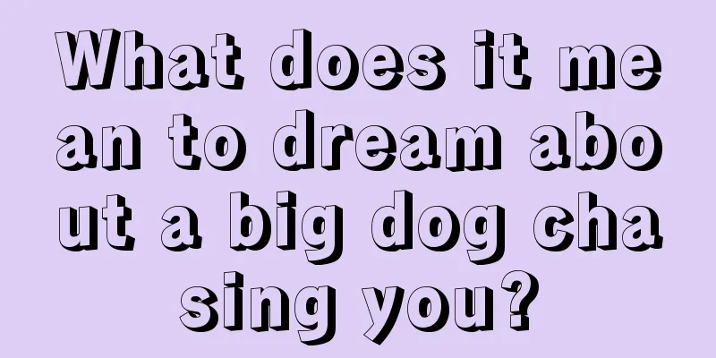 What does it mean to dream about a big dog chasing you?