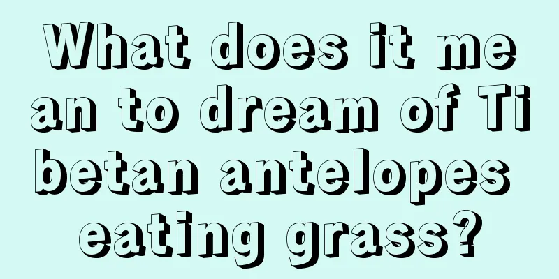 What does it mean to dream of Tibetan antelopes eating grass?