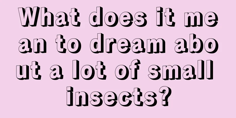 What does it mean to dream about a lot of small insects?