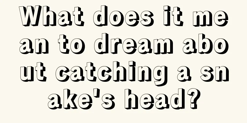 What does it mean to dream about catching a snake's head?