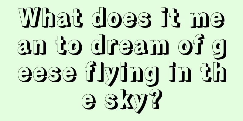 What does it mean to dream of geese flying in the sky?