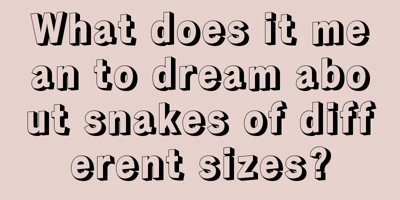 What does it mean to dream about snakes of different sizes?