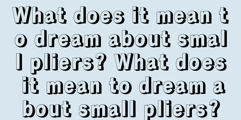 What does it mean to dream about small pliers? What does it mean to dream about small pliers?