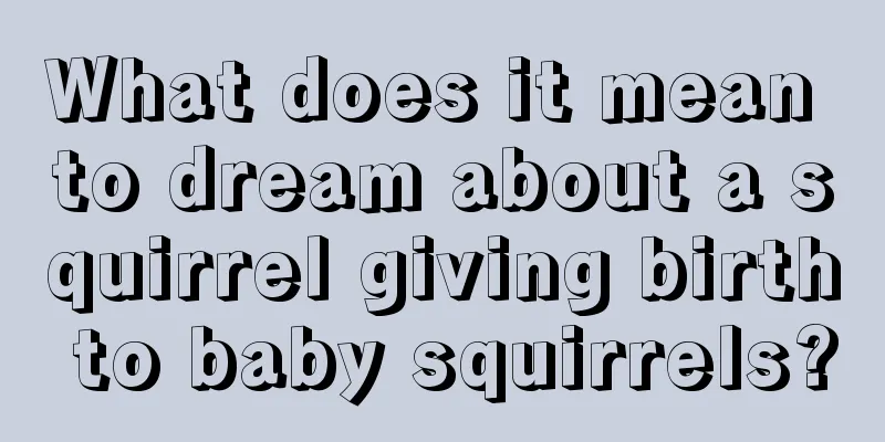 What does it mean to dream about a squirrel giving birth to baby squirrels?