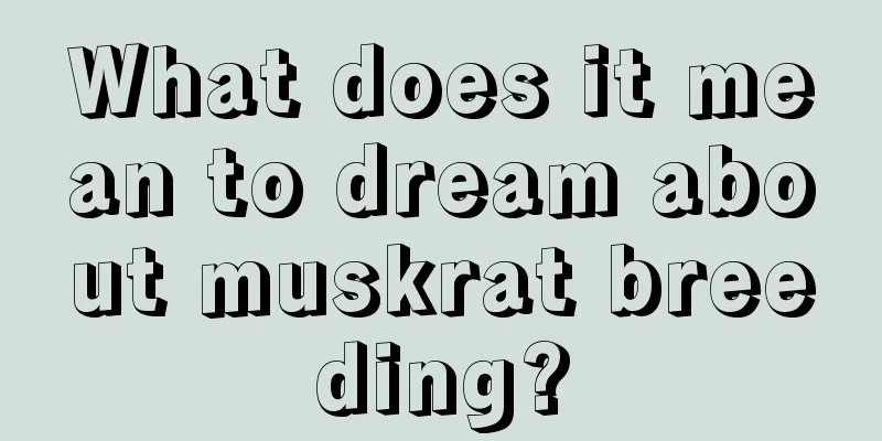 What does it mean to dream about muskrat breeding?