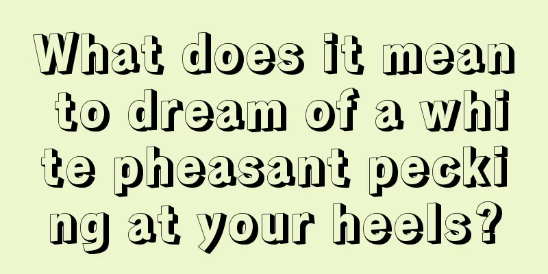 What does it mean to dream of a white pheasant pecking at your heels?