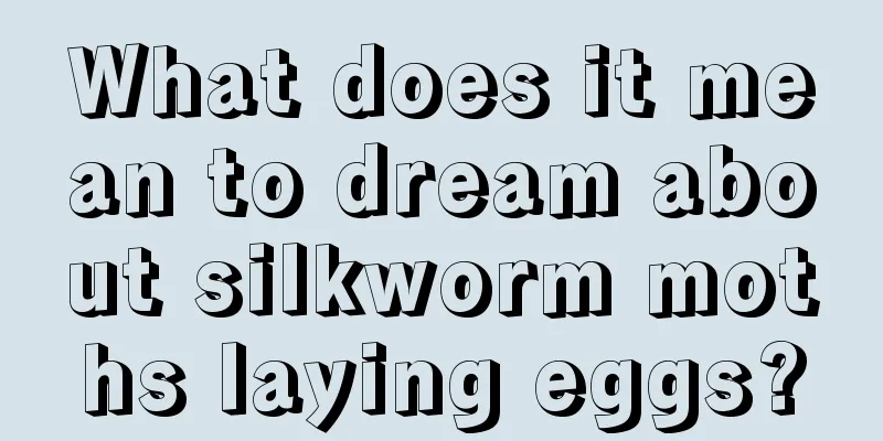 What does it mean to dream about silkworm moths laying eggs?