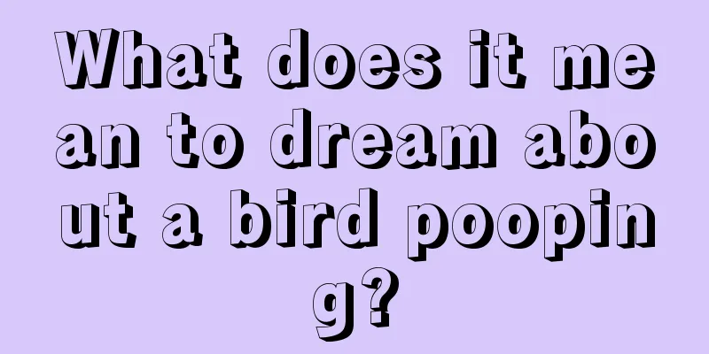 What does it mean to dream about a bird pooping?