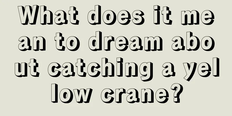 What does it mean to dream about catching a yellow crane?