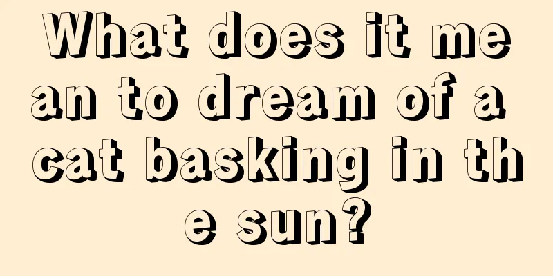 What does it mean to dream of a cat basking in the sun?