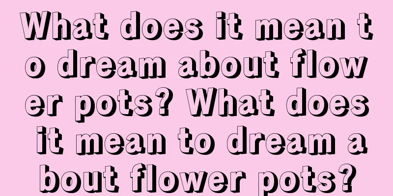 What does it mean to dream about flower pots? What does it mean to dream about flower pots?