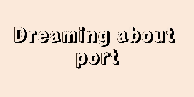 Dreaming about port