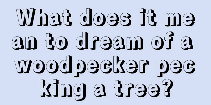 What does it mean to dream of a woodpecker pecking a tree?