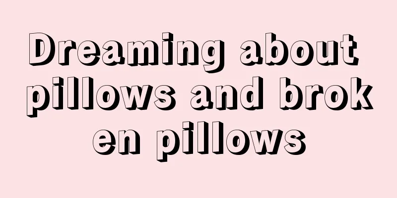 Dreaming about pillows and broken pillows