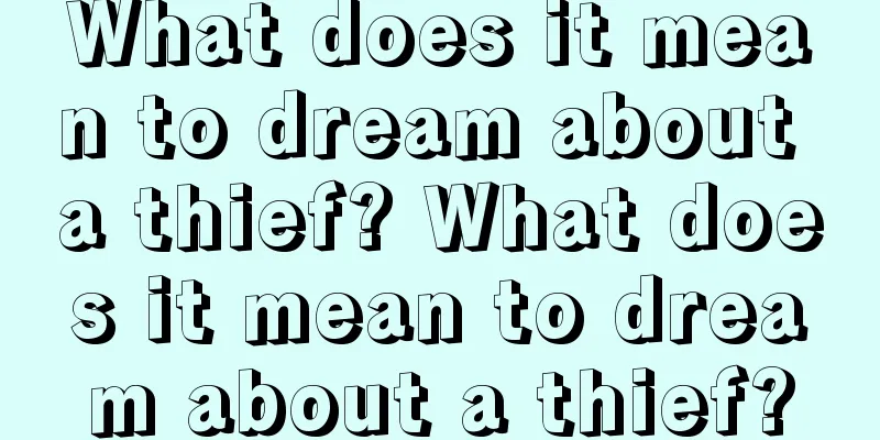 What does it mean to dream about a thief? What does it mean to dream about a thief?