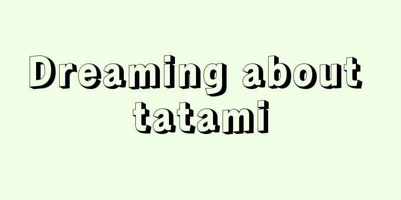 Dreaming about tatami