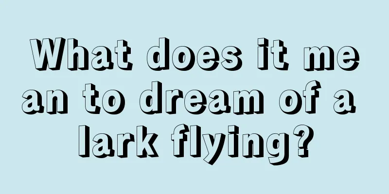 What does it mean to dream of a lark flying?