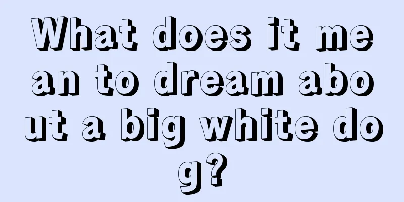 What does it mean to dream about a big white dog?