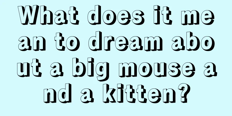 What does it mean to dream about a big mouse and a kitten?