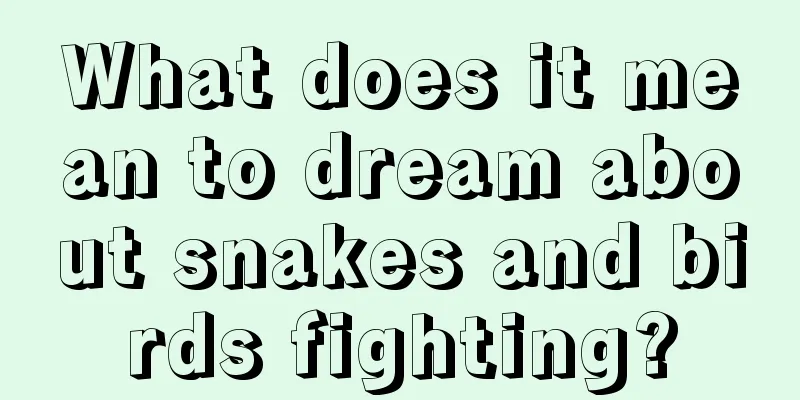 What does it mean to dream about snakes and birds fighting?