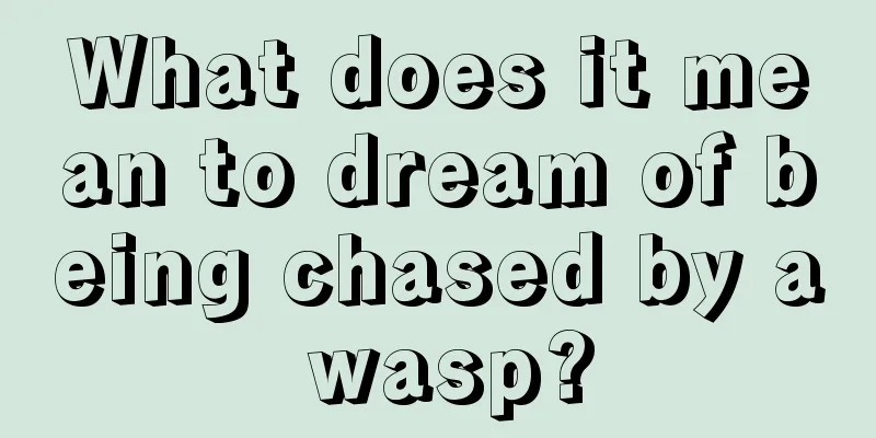 What does it mean to dream of being chased by a wasp?