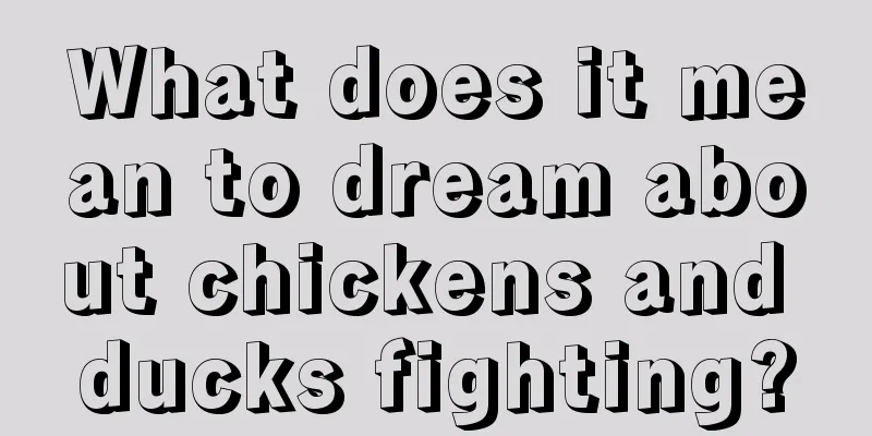 What does it mean to dream about chickens and ducks fighting?