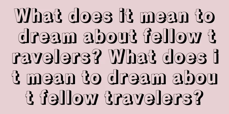 What does it mean to dream about fellow travelers? What does it mean to dream about fellow travelers?