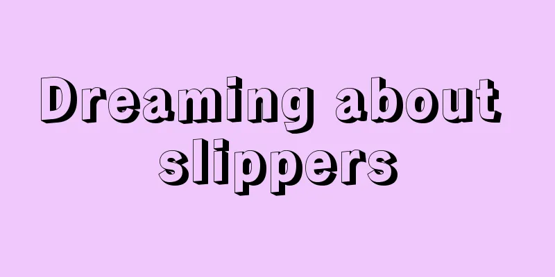 Dreaming about slippers