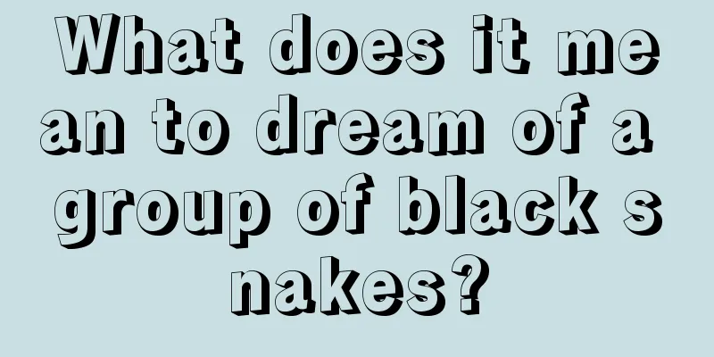 What does it mean to dream of a group of black snakes?