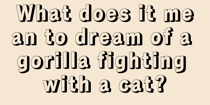 What does it mean to dream of a gorilla fighting with a cat?