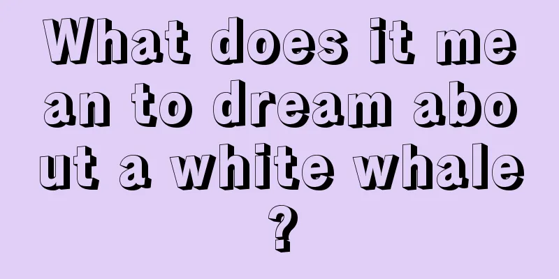 What does it mean to dream about a white whale?