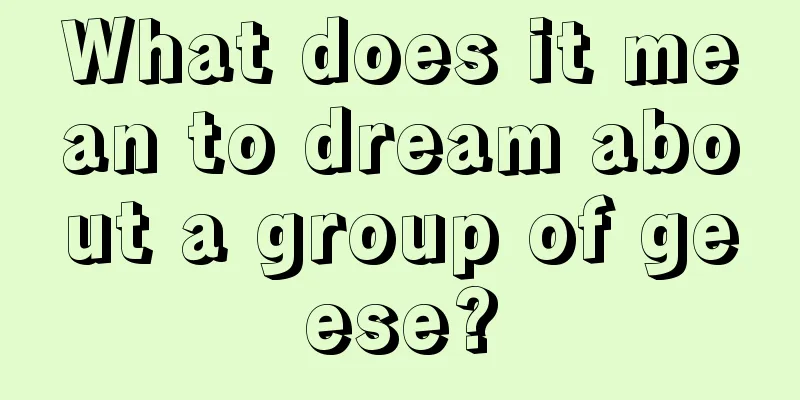 What does it mean to dream about a group of geese?