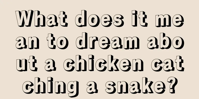 What does it mean to dream about a chicken catching a snake?