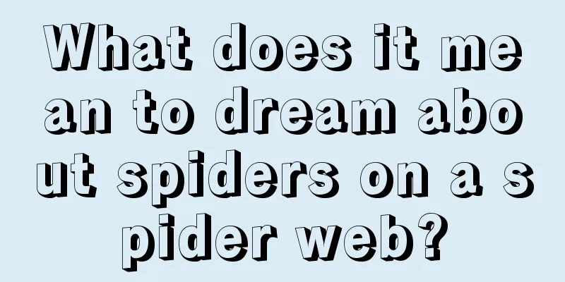 What does it mean to dream about spiders on a spider web?