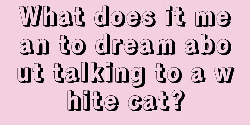 What does it mean to dream about talking to a white cat?