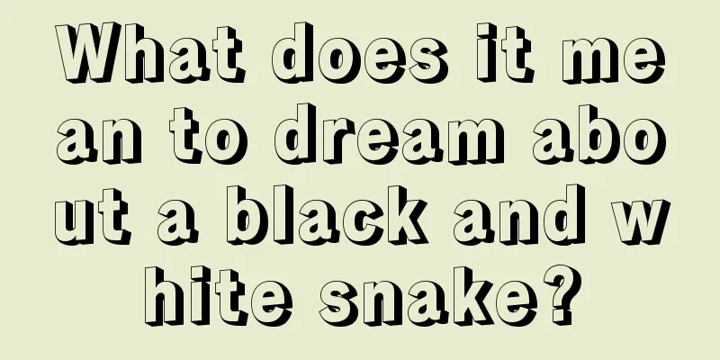 What does it mean to dream about a black and white snake?